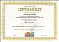 Сертификат участника вебинара "Применение интерактивных игр в работе над лексико-грамматическими категориями у детей с ОВЗ"